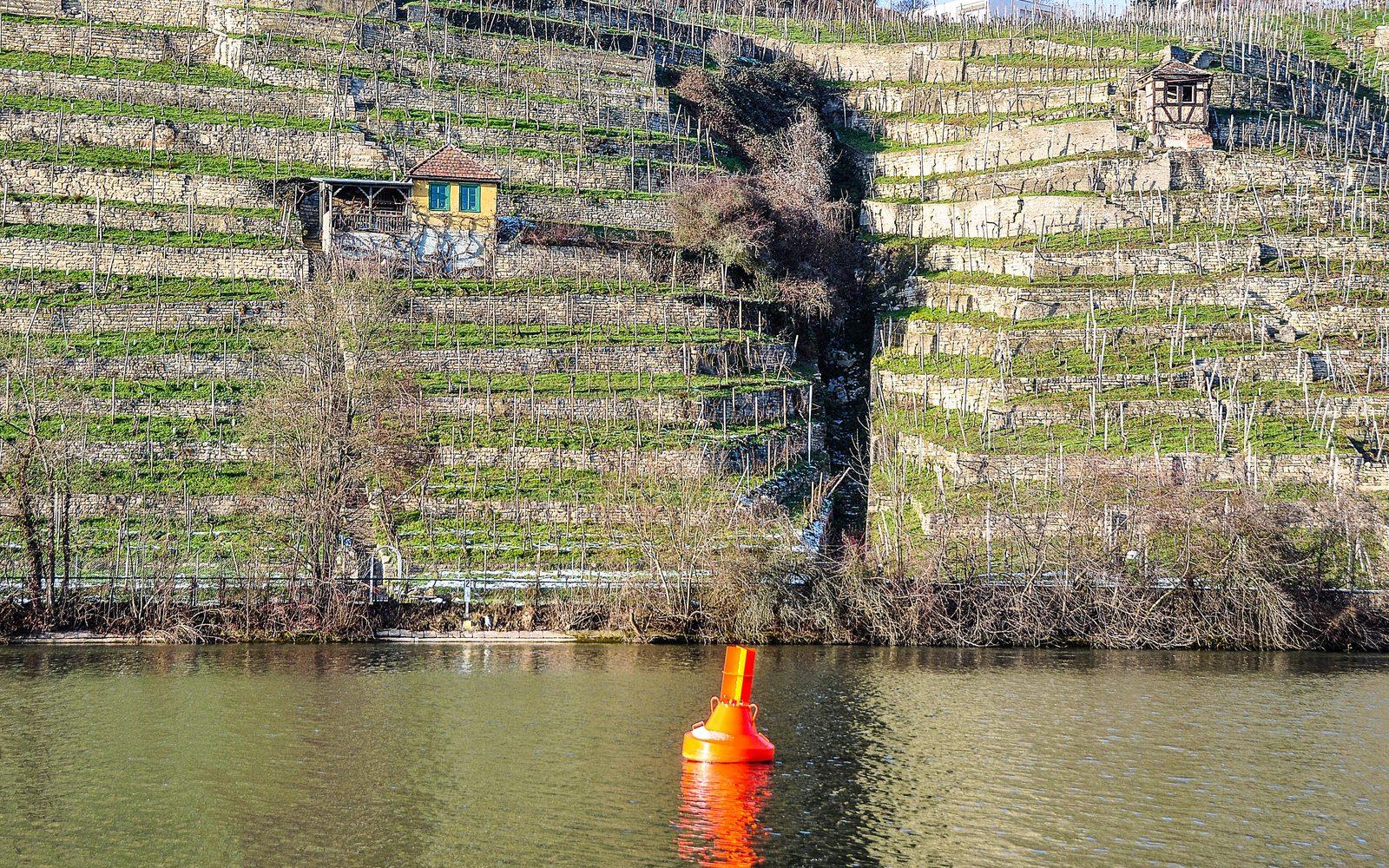 Weinlage Zuckerberg am Neckar - innerstädtische Weinberge in Stuttgart