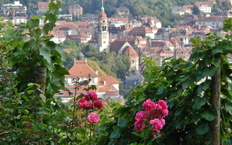 Ausblick von der Karlshöhe über den Stuttgarter Talkessel